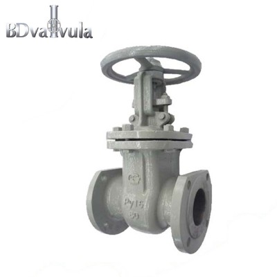 Z41H-16C GOST WCB+Stainless  gate valve