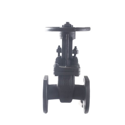 Gost standard PN16/PN25 carbon steel flange gate valve used in water