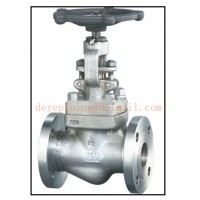 Forged Steel ss304 Flanged Type Globe Valve