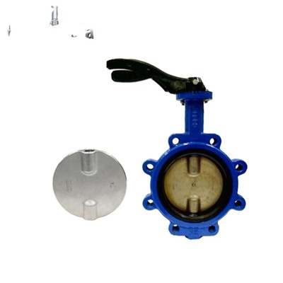 wafer lug gear operated cast iron Dual clamp  Butterfly valve