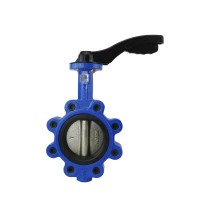 D343H-10C large size double flange gear operated  butterfly valve