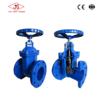 Soft seated EPDM wedge gate valve/ductile iron gate valve/safe rubber plated disc