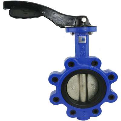 wafer gear operated cast iron Butterfly valve prices